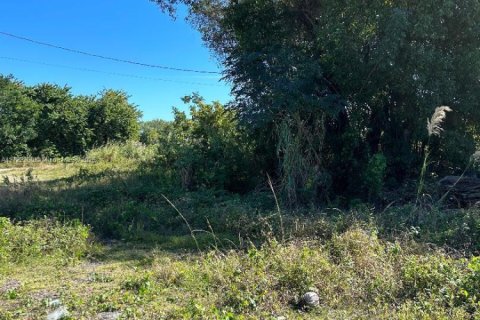 Terreno en venta en Miami-Dade, Florida № 1957303 - foto 3