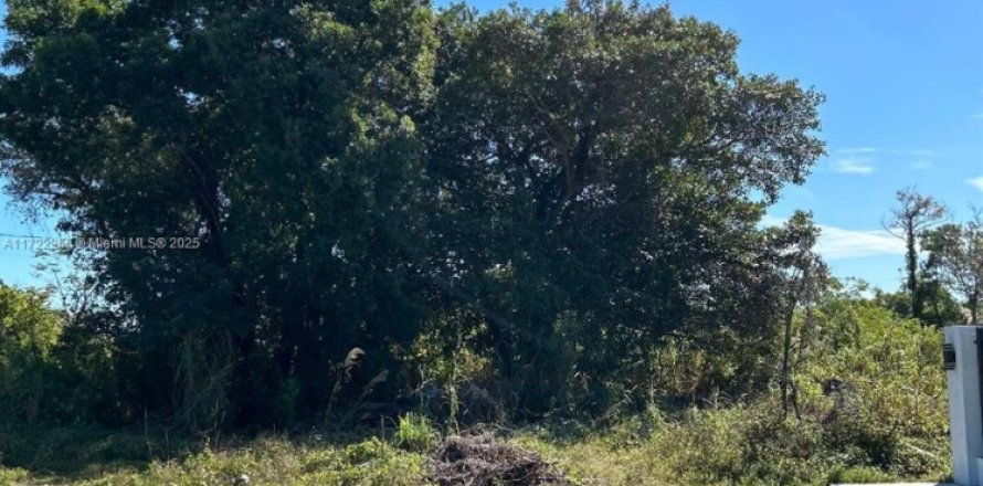 Terreno en Miami-Dade, Florida № 1957303