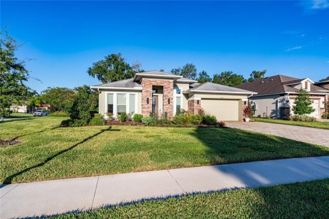 Villa ou maison à vendre à Dade City, Floride: 4 chambres, 237.37 m2 № 2400254 - photo 3