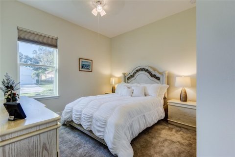 Villa ou maison à vendre à Dade City, Floride: 4 chambres, 237.37 m2 № 2400254 - photo 22