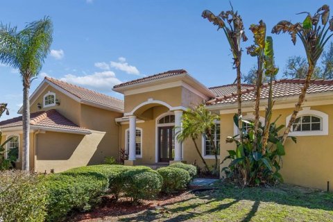 Villa ou maison à vendre à Brandon, Floride: 4 chambres, 319.03 m2 № 2142005 - photo 5