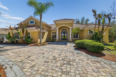 Villa ou maison à Brandon, Floride 4 chambres, 319.03 m2 № 2142005