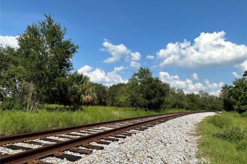 Land in Mulberry, Florida № 697349 - photo 1
