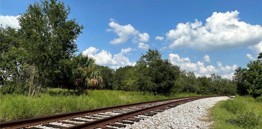 Land in Mulberry, Florida № 697349