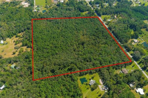 Terreno en venta en Lake Butler, Florida № 1568050 - foto 1