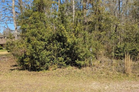 Terreno en venta en Lake Butler, Florida № 1568050 - foto 2