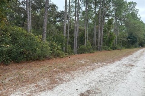 Terreno en venta en Georgetown, Florida № 843301 - foto 1