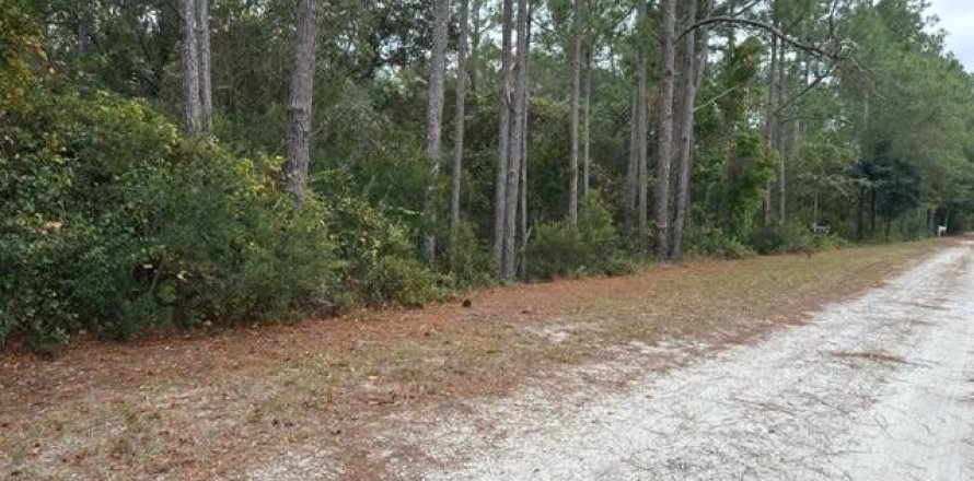 Terreno en Georgetown, Florida № 843301