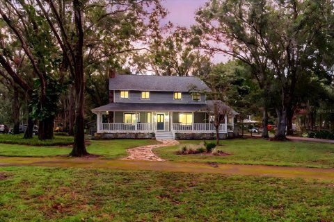 House in Lutz, Florida 4 bedrooms, 464.14 sq.m. № 1873624 - photo 3
