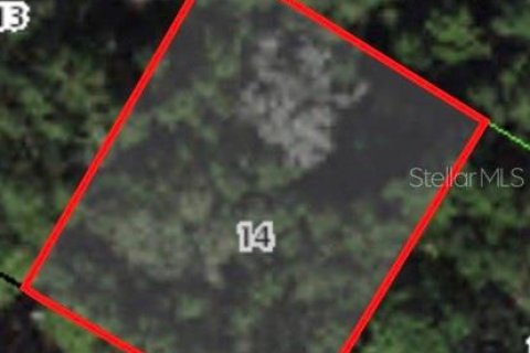 Land in Citrus Springs, Florida № 2223961