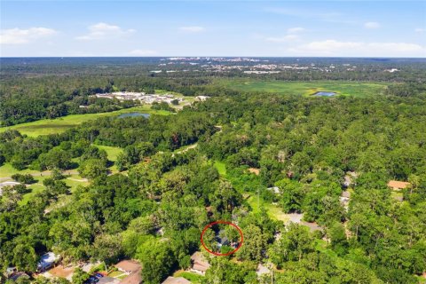 Commercial property in Gainesville, Florida 8 bedrooms, 87.51 sq.m. № 2323311 - photo 3