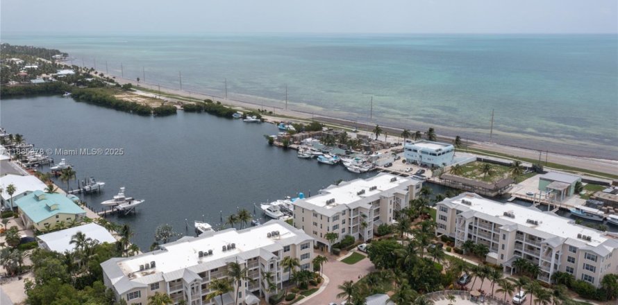 Condo in Islamorada, Village of Islands, Florida, 2 bedrooms № 1940895