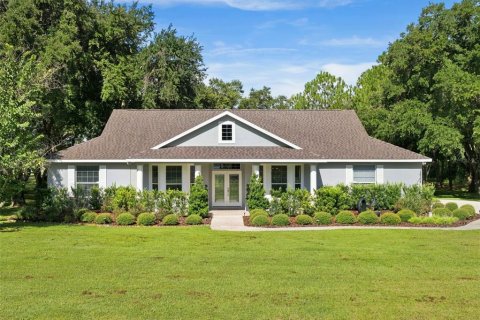 Villa ou maison à Clermont, Floride 4 chambres, 248.61 m2 № 2324261