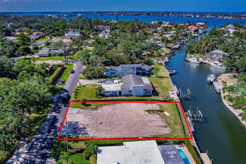 Land in Sarasota, Florida № 1732493 - photo 2