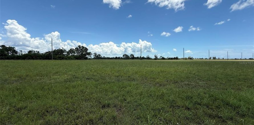 Terrain à Placida, Floride № 2230029