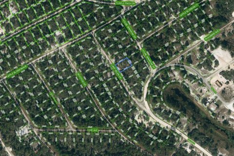 Land in Lake Placid, Florida № 2209148