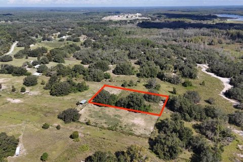 Land in Polk City, Florida № 2164351 - photo 3