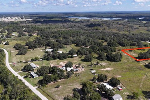 Land in Polk City, Florida № 2164351 - photo 2