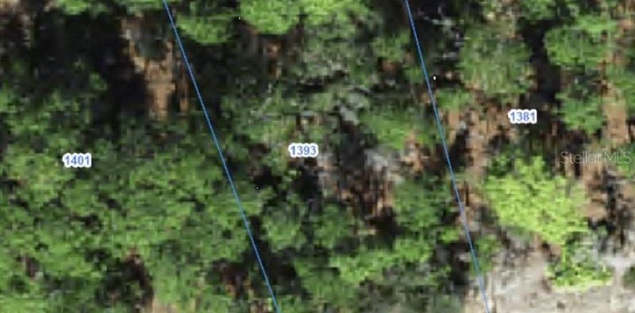 Land in Citrus Springs, Florida № 2388221