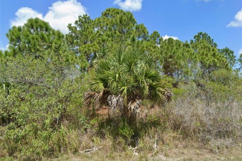 Land in Palm Bay, Florida № 2158130 - photo 4