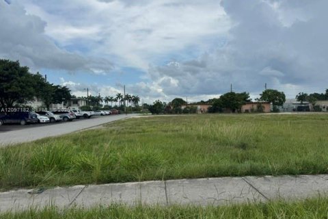 Land in Homestead, Florida № 2399963 - photo 2