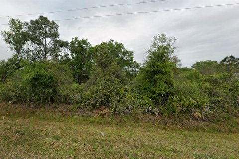 Terreno en Okeechobee, Florida № 2231266