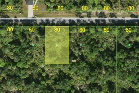 Land in Port Charlotte, Florida № 2367409