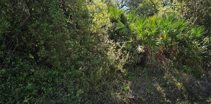 Terrain à North Port, Floride № 2233075