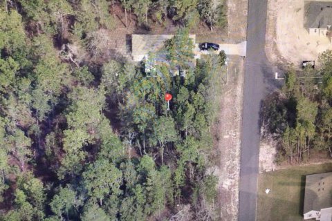 Terrain à vendre à Ocala, Floride № 2099767 - photo 2
