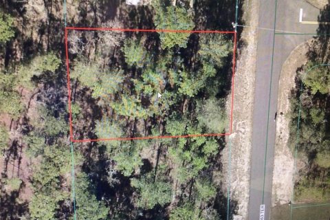 Terreno en Ocala, Florida № 2099767