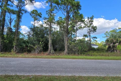Terreno en Lehigh Acres, Florida № 2164400