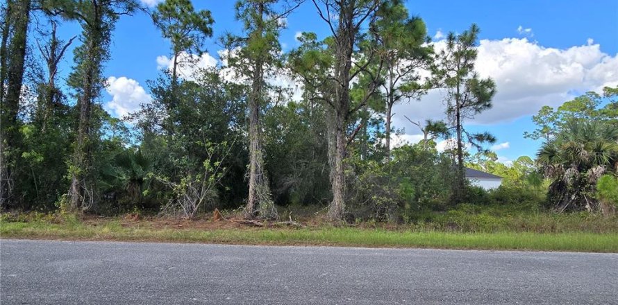Land in Lehigh Acres, Florida № 2164400