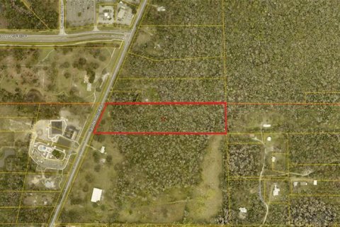 Land in Thonotosassa, Florida № 2366598