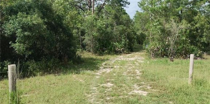 Terrain à Dunnellon, Floride № 2218579