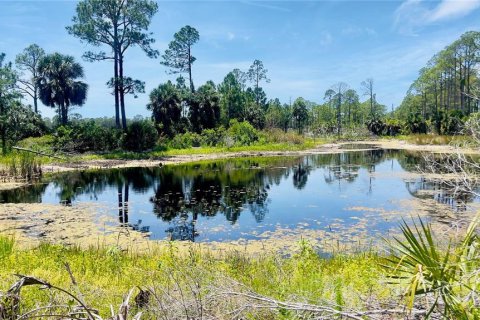 Land in Cedar Key, Florida № 2201201 - photo 3
