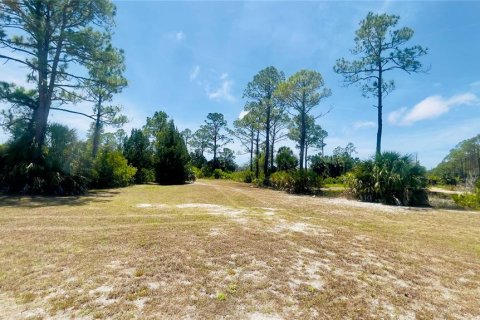 Land in Cedar Key, Florida № 2201201