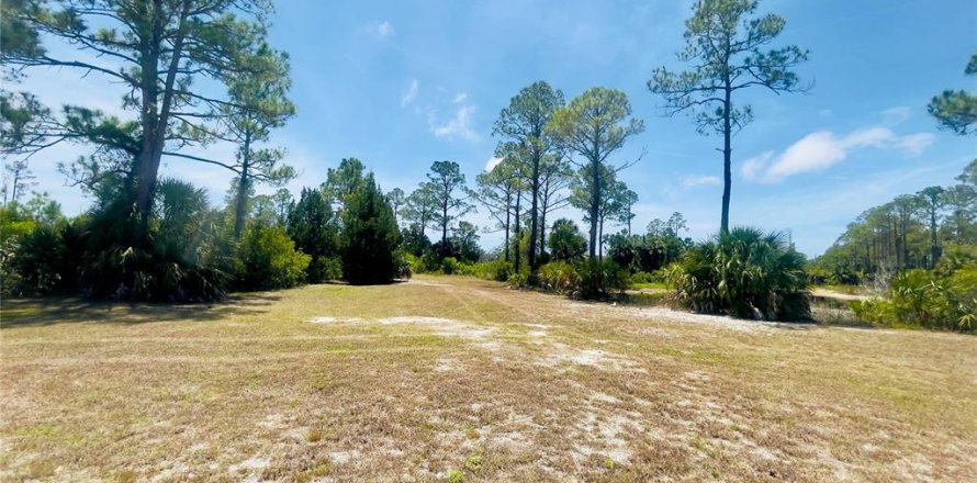 Land in Cedar Key, Florida № 2201201