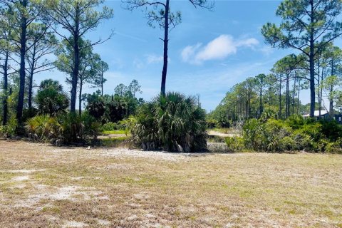 Land in Cedar Key, Florida № 2201201 - photo 11