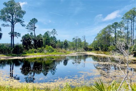 Land in Cedar Key, Florida № 2201201 - photo 5