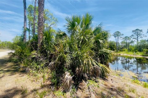 Land in Cedar Key, Florida № 2201201 - photo 8