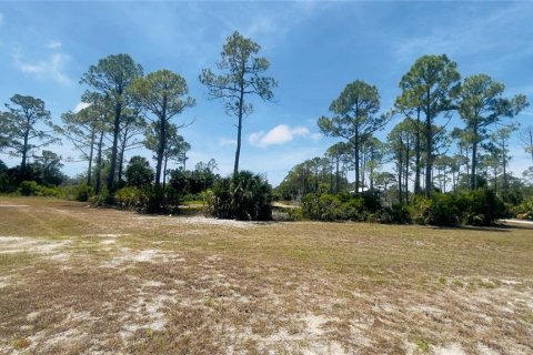 Land in Cedar Key, Florida № 2201201 - photo 10