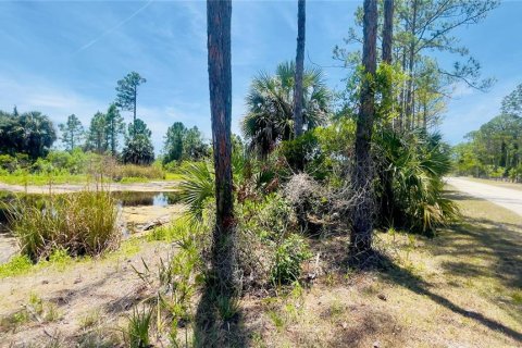 Land in Cedar Key, Florida № 2201201 - photo 9