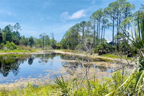 Land in Cedar Key, Florida № 2201201 - photo 2