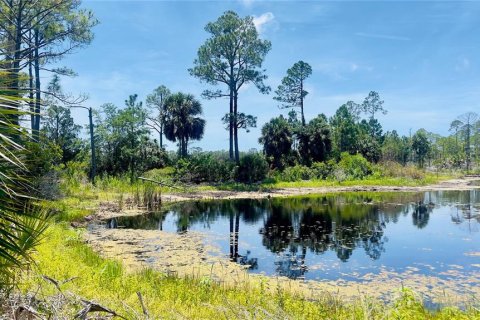 Land in Cedar Key, Florida № 2201201 - photo 4
