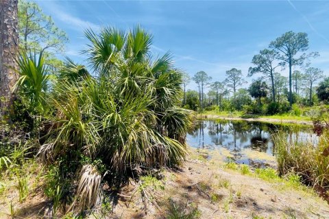 Land in Cedar Key, Florida № 2201201 - photo 7