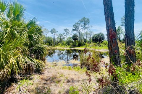 Land in Cedar Key, Florida № 2201201 - photo 6