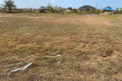 Land in Cape Coral, Florida № 362971 - photo 4