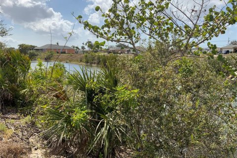 Land in Cape Coral, Florida № 362971 - photo 7