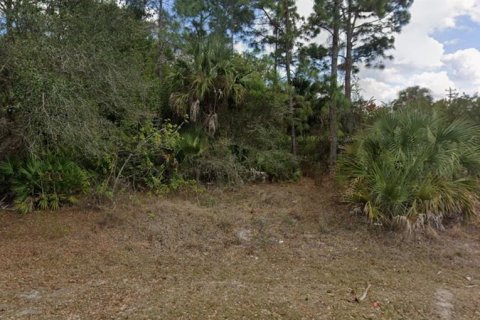 Land in Lehigh Acres, Florida № 2222491