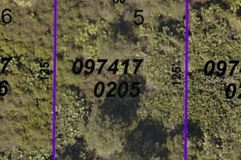 Land in North Port, Florida № 2165439 - photo 2